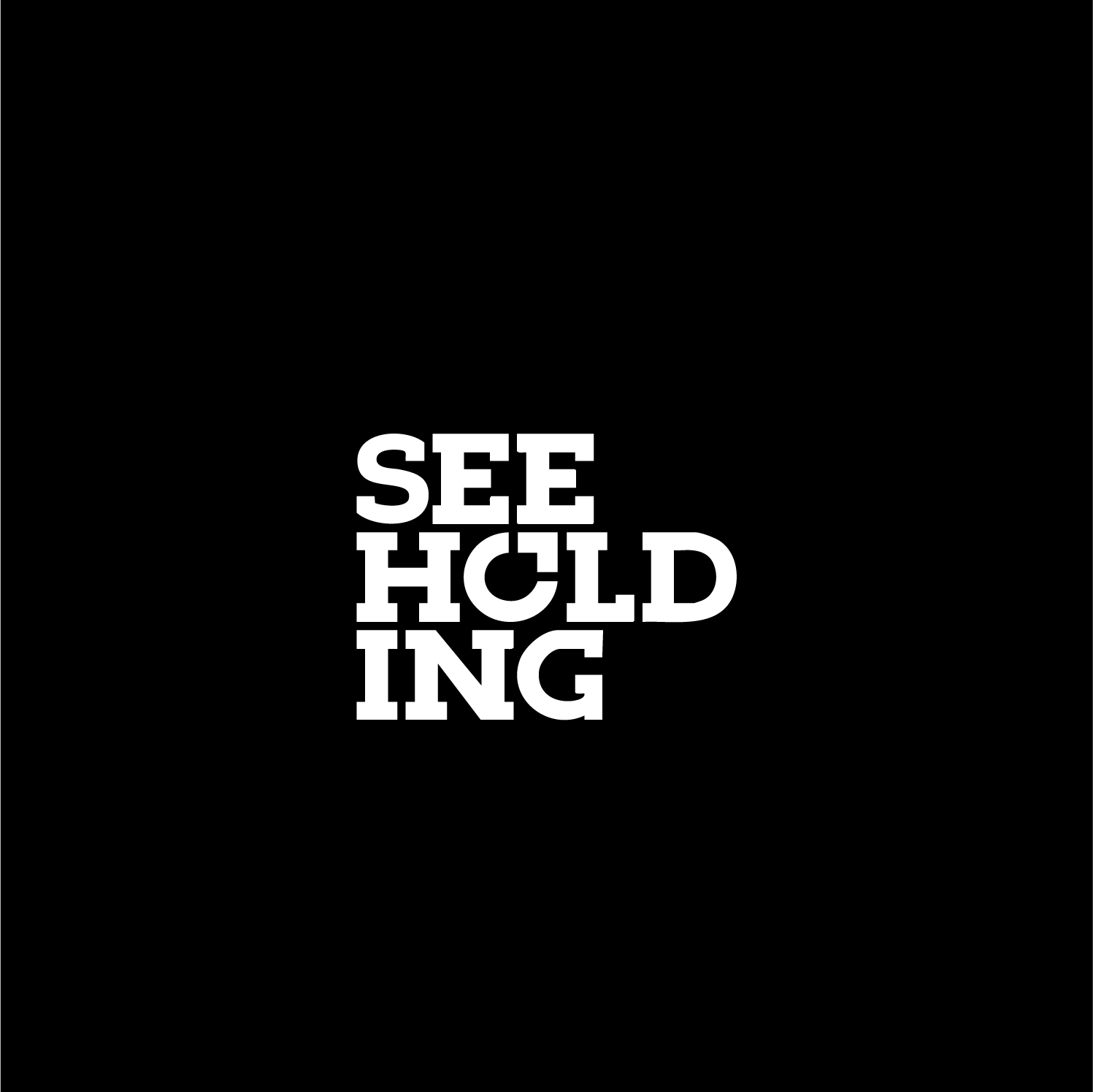 SEE HOLDING